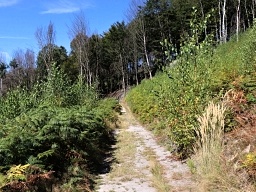 Hiking path